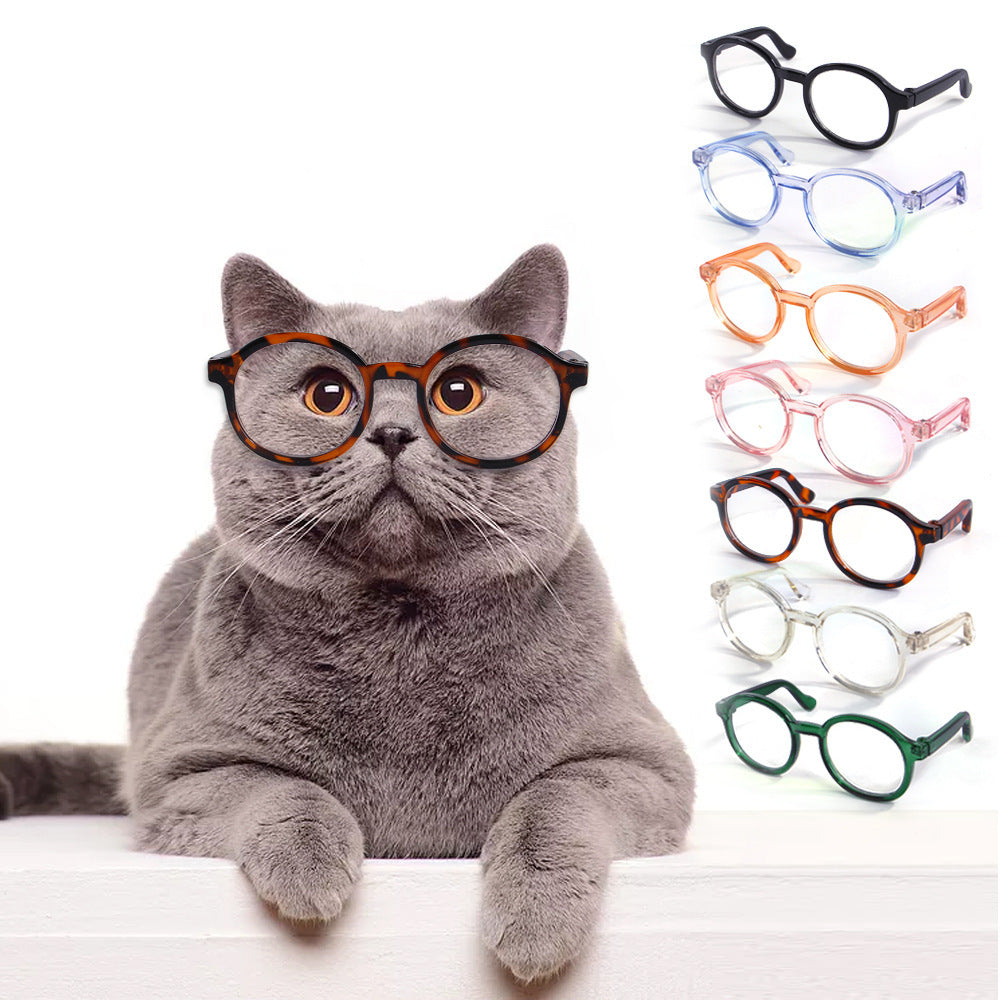 Plastic Transparent Glasses