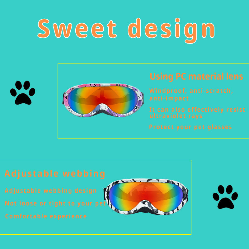 Rainbow Windproof Sunglasses
