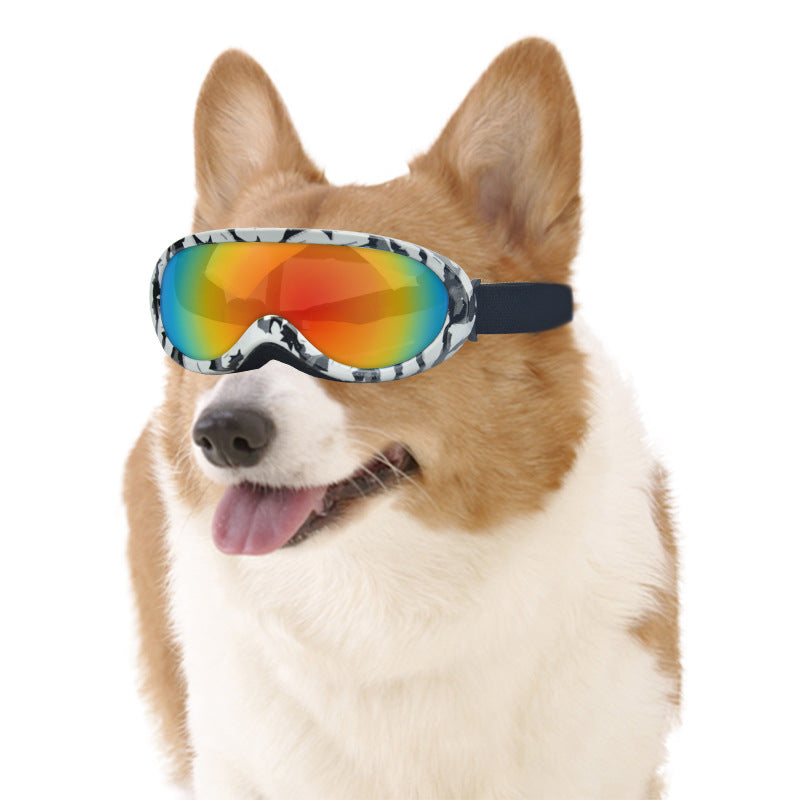Rainbow Windproof Sunglasses