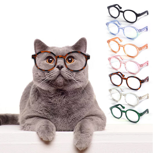 Plastic Transparent Glasses