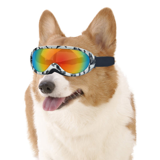 Rainbow Windproof Sunglasses