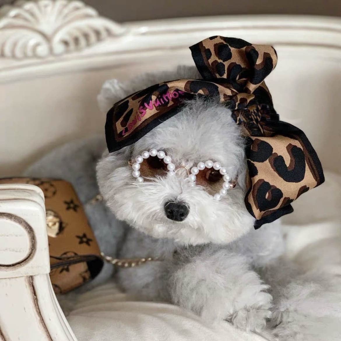 Pet Pearl Sunglasses